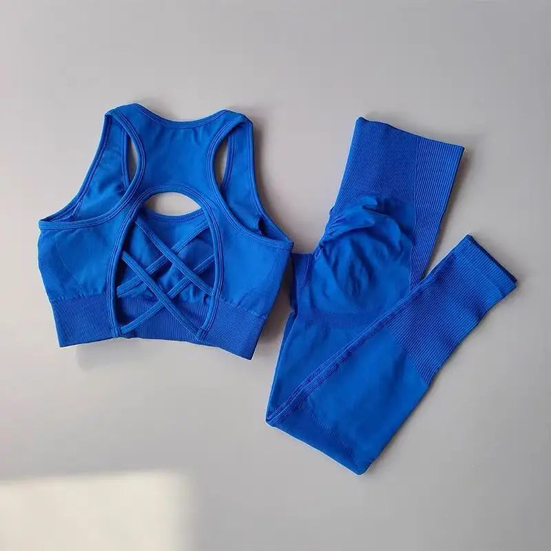 2PCS Women’s Sports Bra Set – Shockproof Fitness Tank & Yoga Suit