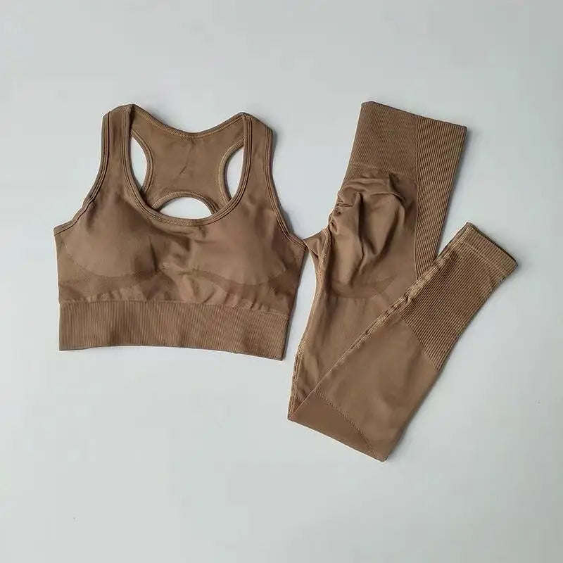 2PCS Women’s Sports Bra Set – Shockproof Fitness Tank & Yoga Suit