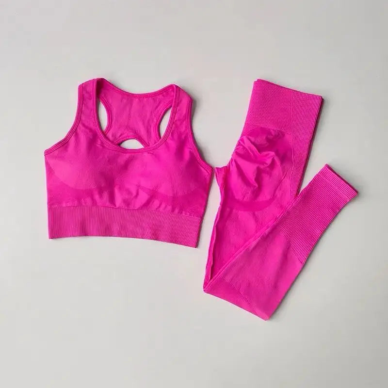 2PCS Women’s Sports Bra Set – Shockproof Fitness Tank & Yoga Suit