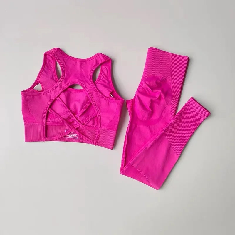 2PCS Women’s Sports Bra Set – Shockproof Fitness Tank & Yoga Suit