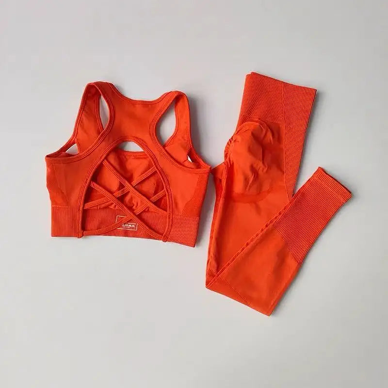 2PCS Women’s Sports Bra Set – Shockproof Fitness Tank & Yoga Suit