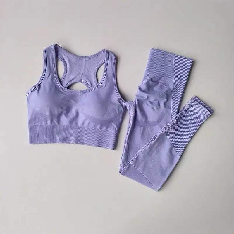 2PCS Women’s Sports Bra Set – Shockproof Fitness Tank & Yoga Suit