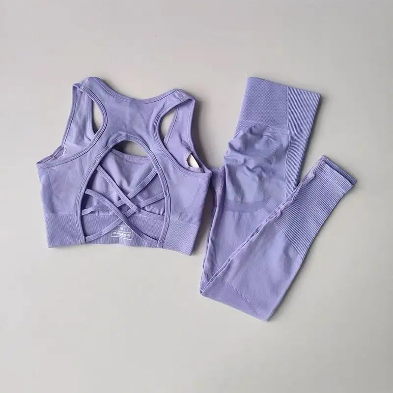 2PCS Women’s Sports Bra Set – Shockproof Fitness Tank & Yoga Suit