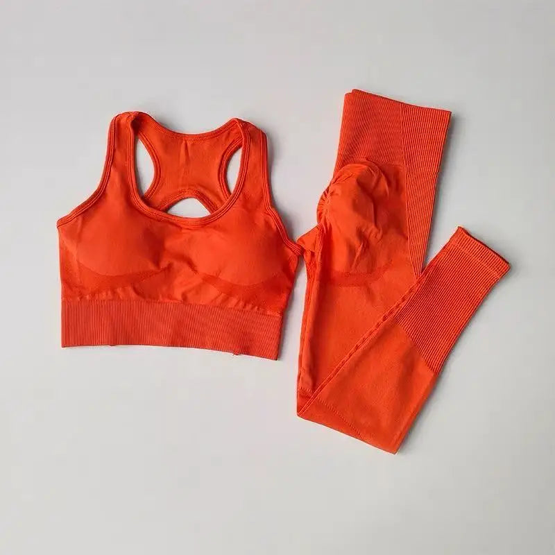 2PCS Women’s Sports Bra Set – Shockproof Fitness Tank & Yoga Suit